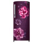 Samsung 223L 3 Star Inverter Direct-Cool Single Door Refrigerator (RR24C2723CR/NL,Camellia Purple) 2023 Model