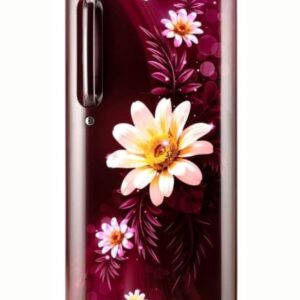 LG 242L Double Door Refrigerator with Smart Inverter Compressor, Multi-Air Flow, Scarlet charm, 2 Star